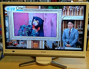 SHARP AQUOS 37型 LC-37DS3