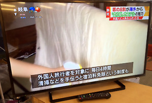 Panasonic　液晶TV　TH-43D300　2016